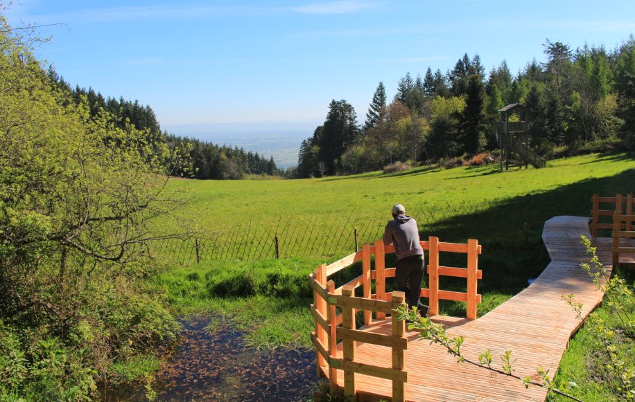 Arboretum des Grands Murcins, Arcon, France